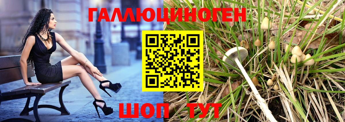 Галлюциногенные грибы мухоморы  Вход с VPN  Псилоцибиновые грибы прущие грибы  Кропоткин 